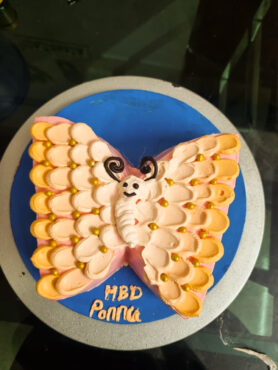 Vanila cake , butterfly theme